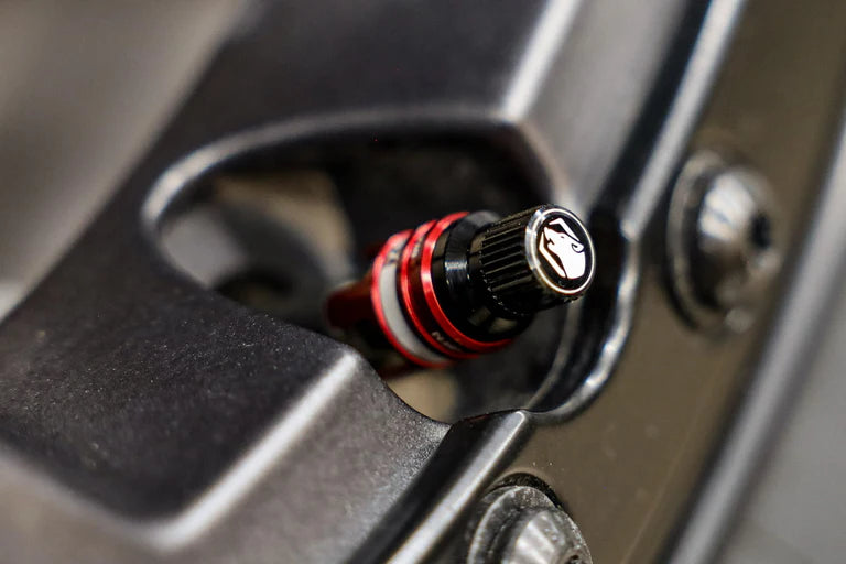 RCV - RAPID CONNECT VALVE 1 pc