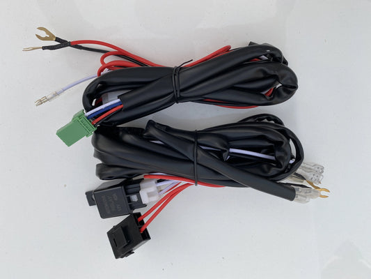 Wiring harness/loom for for push switch